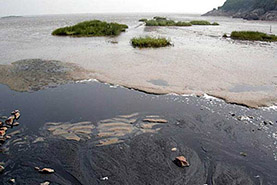 �����B͸Һ̎���O��